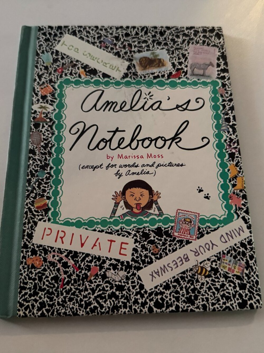 Amelia’s Notebook Marissa Moss Hardcover Illustrated Diary Journal Kids Book